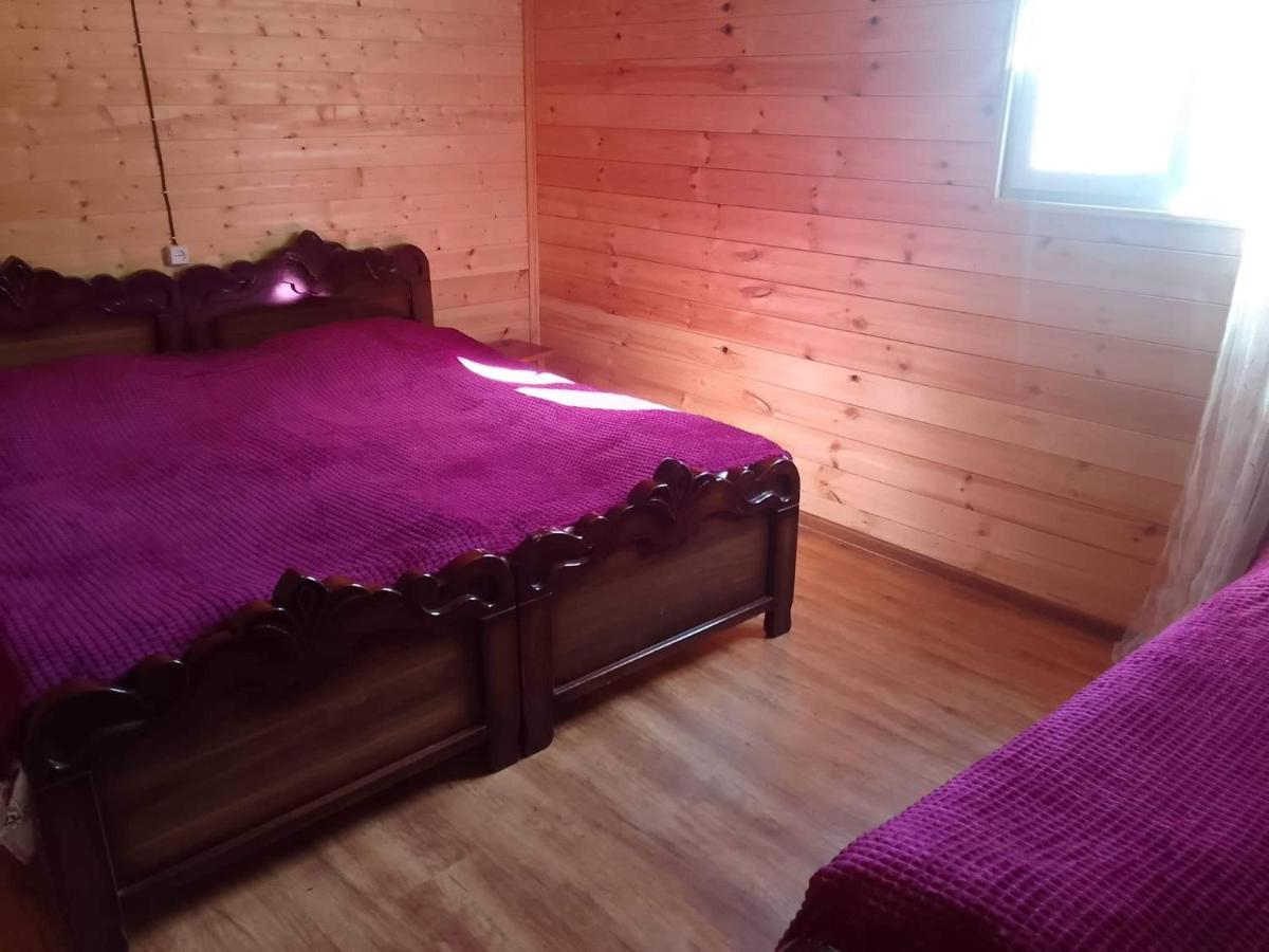Vila Latphari In Ushguli Εξωτερικό φωτογραφία